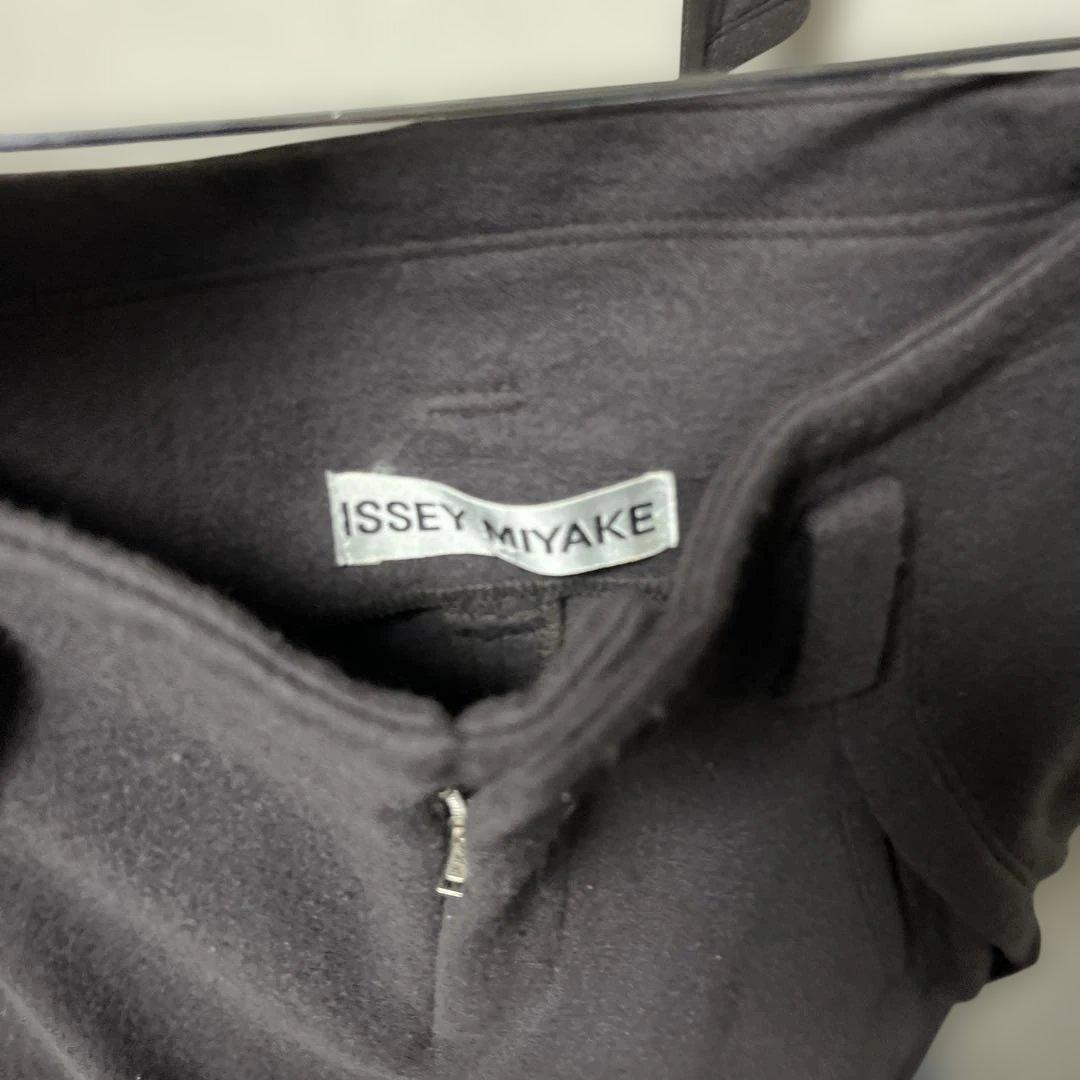 Issey Miyake Pants Outfits