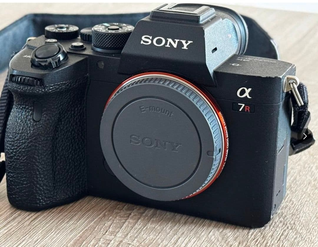 Sony Mirrorless Interchangeable Lips 7R Iv