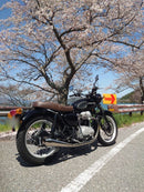 Mufflers W650