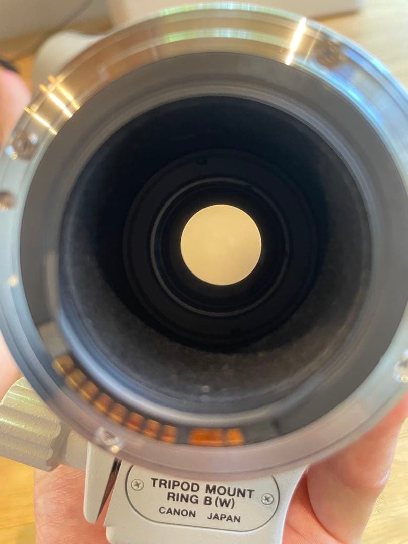 Zoom Lenses Canon Ef 100-400Mm F4.5-5.6L Is Usm