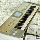 Korg Others Trinity Plus 61