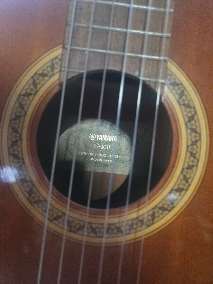 Yamaha Acoustic Guitars 0705-01 G-100