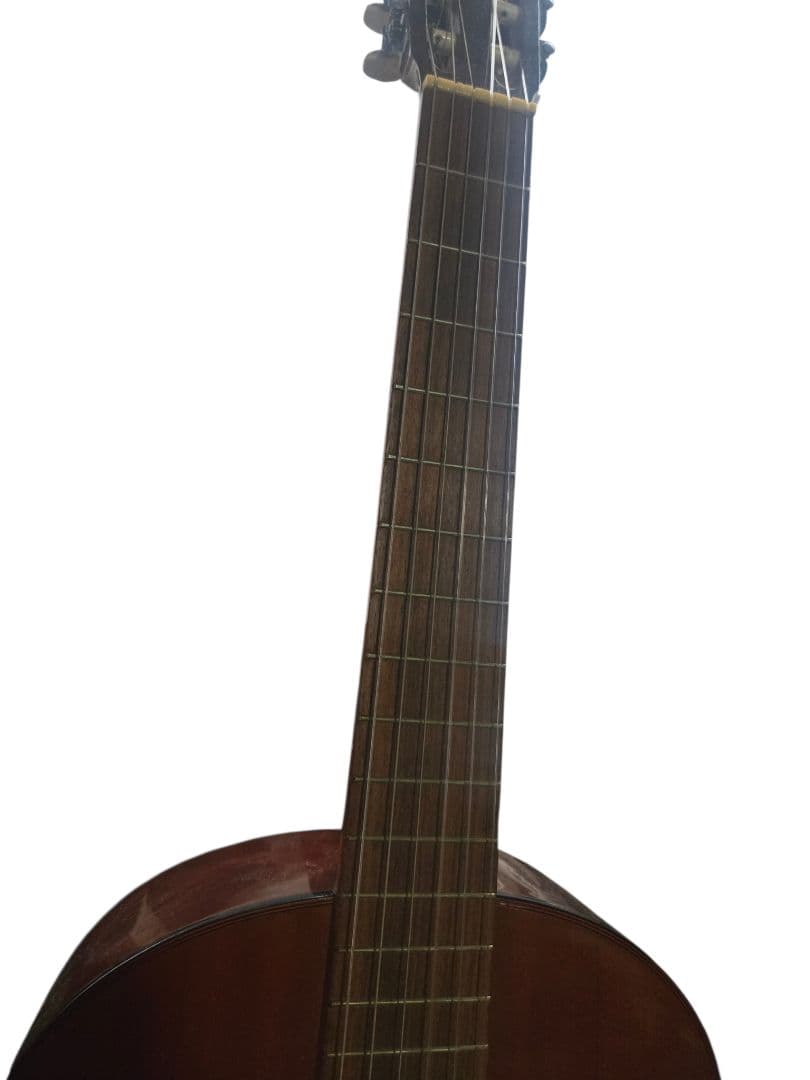 Yamaha Acoustic Guitars 0705-01 G-100