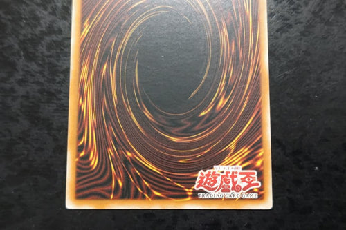 Yu-Gi-Oh! Ocg Duel Monsters (Japanese)