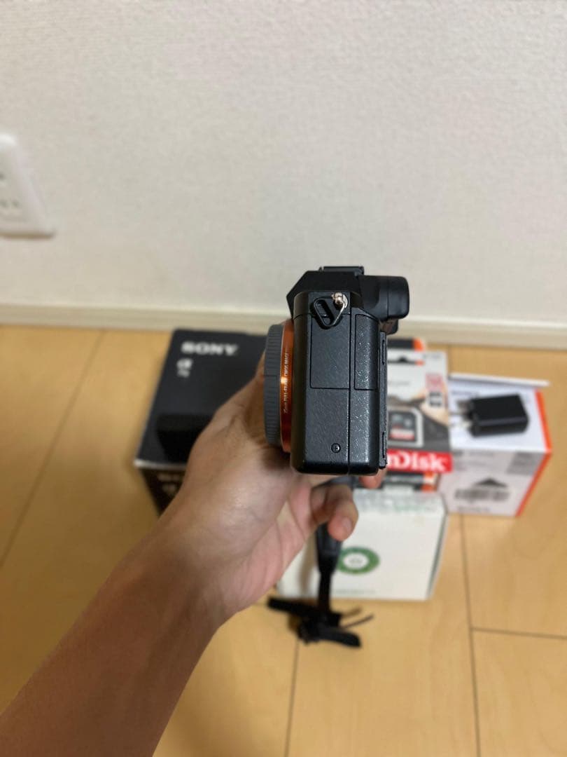 Sony Mirrorless Interchangeable Lips 7 Ii