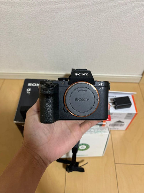 Sony Mirrorless Interchangeable Lips 7 Ii