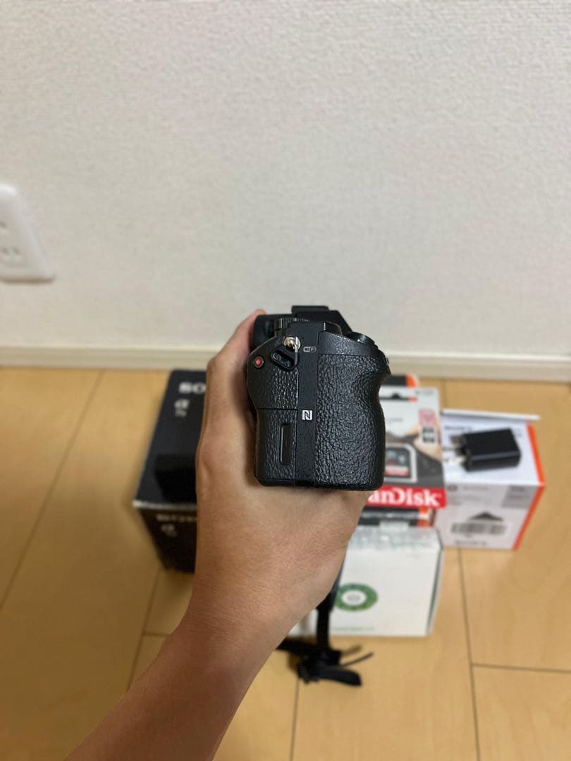Sony Mirrorless Interchangeable Lips 7 Ii