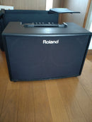 Other Roland Acoustic Chorus Ac-90