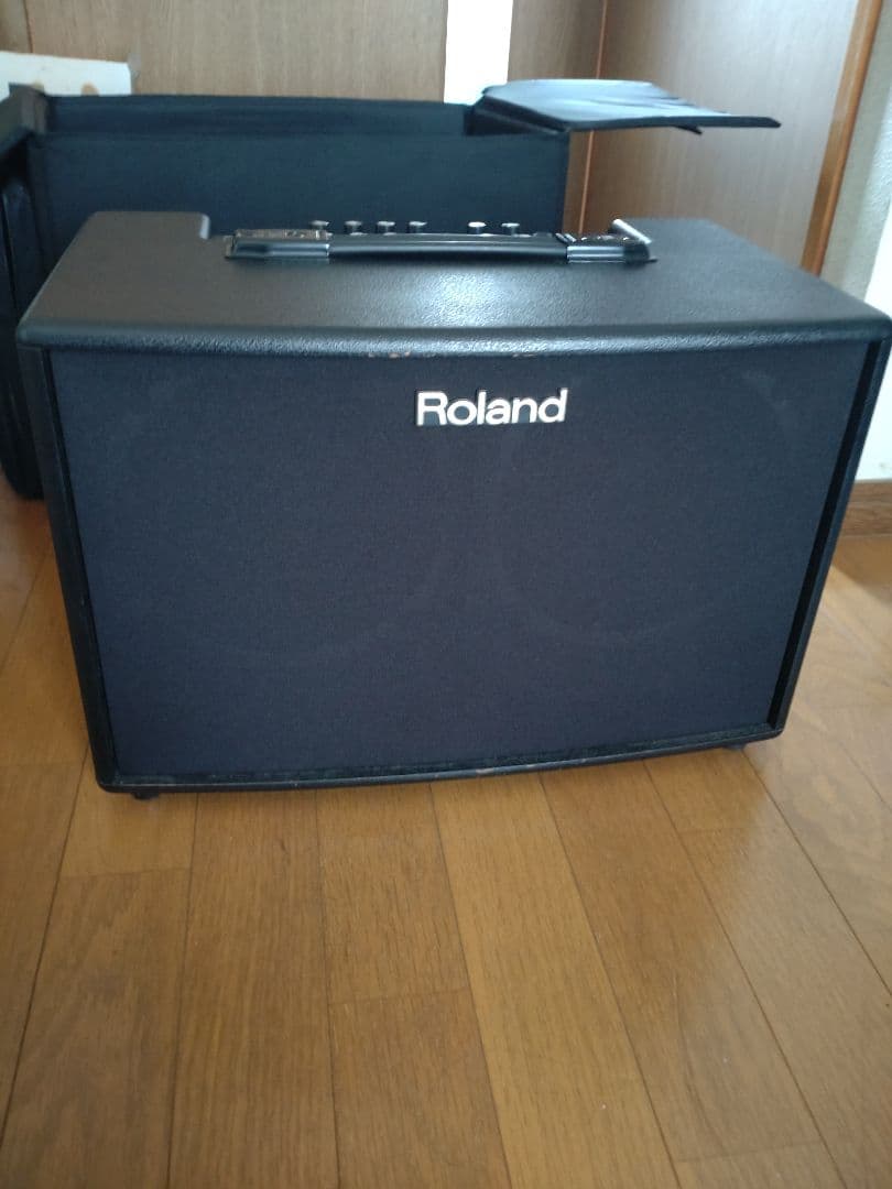 Other Roland Acoustic Chorus Ac-90