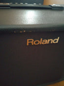 Other Roland Acoustic Chorus Ac-90