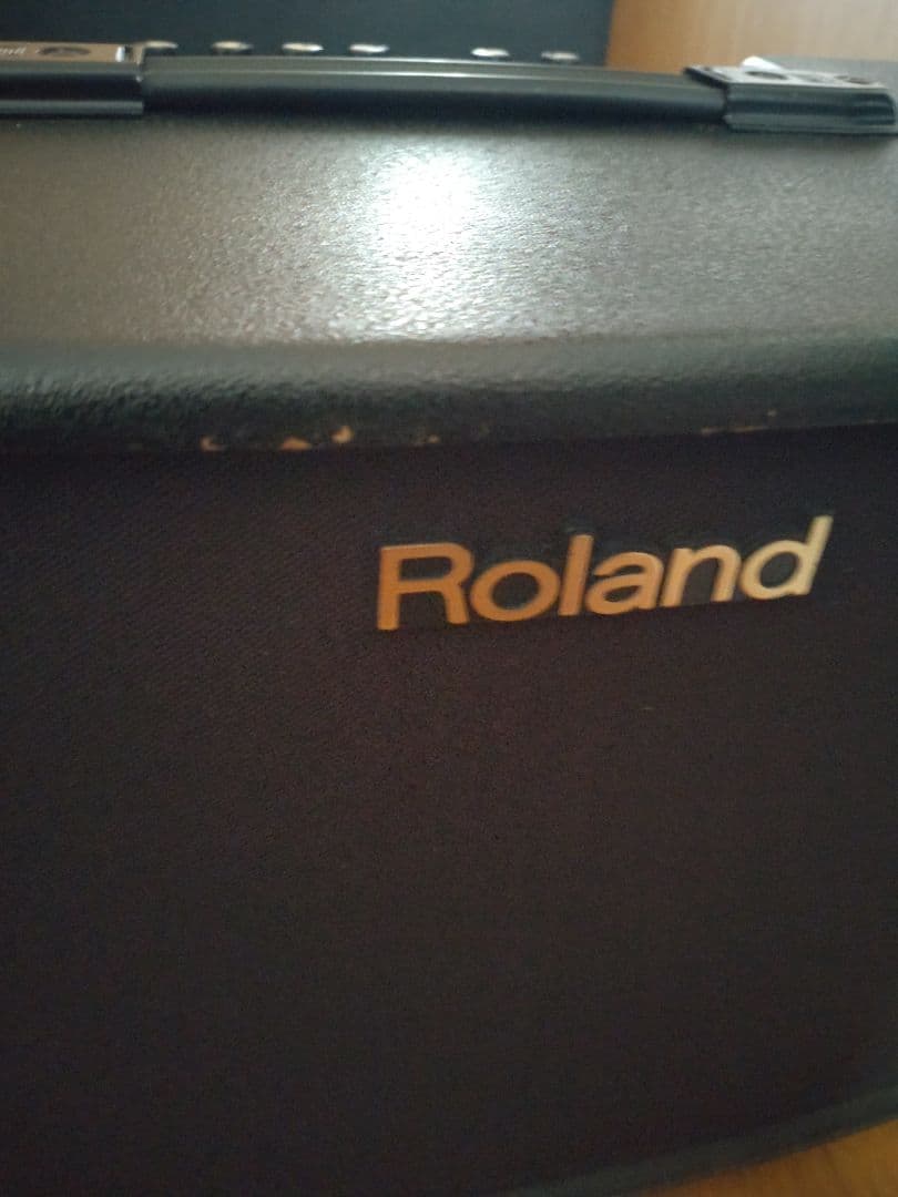 Other Roland Acoustic Chorus Ac-90