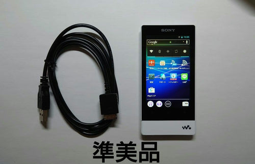 Sony Digital Audio Player Nw F805 Usb