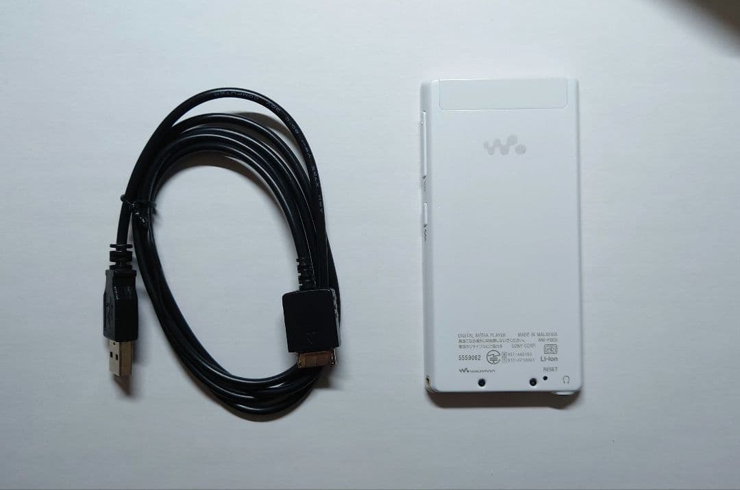 Sony Digital Audio Player Nw F805 Usb