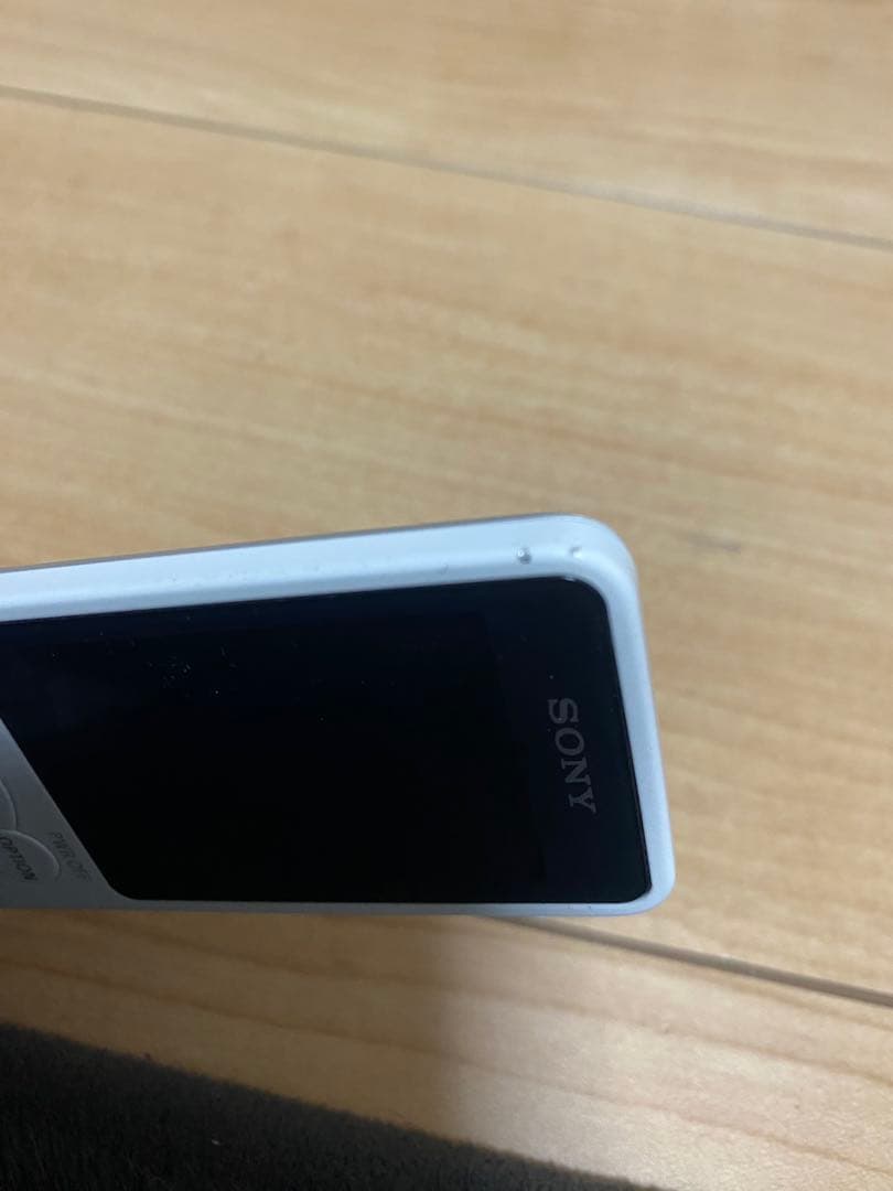 Sony Digital Audio Player