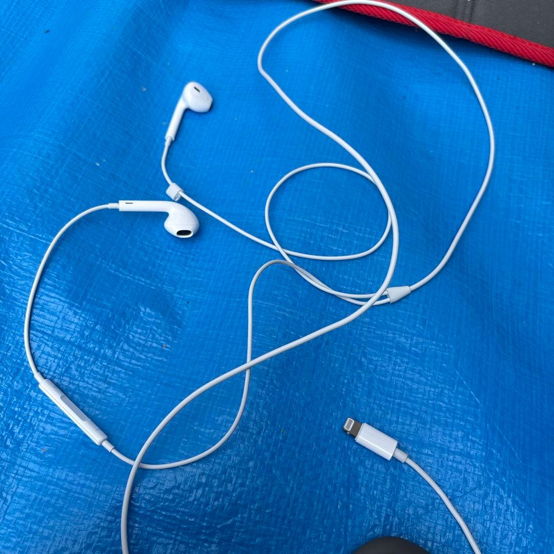 Wired Earphone Lightning