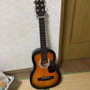Acoustic Guitar