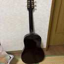Acoustic Guitar