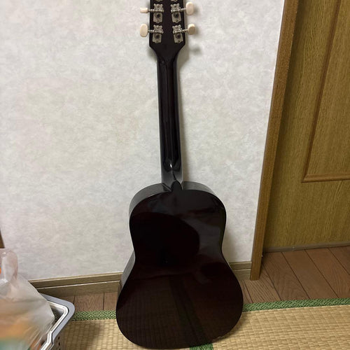 Acoustic Guitar