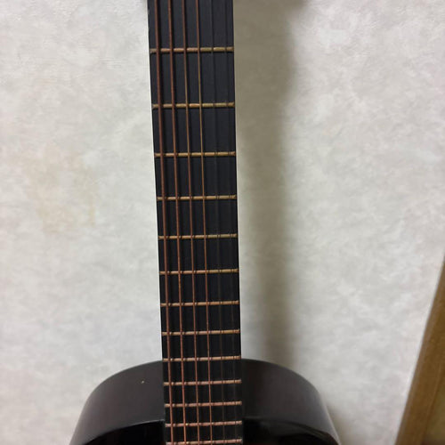 Acoustic Guitar
