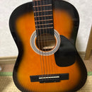 Acoustic Guitar