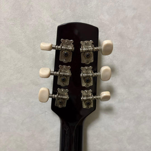 Acoustic Guitar