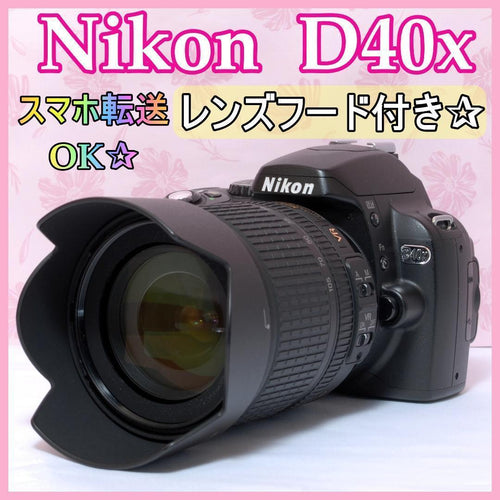 Nikon Digital Slrs Ok D40X