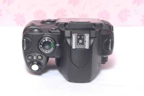 Nikon Digital Slrs Ok D40X