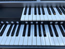 Yamaha Keyboard Electronic Piano Els-02C 2018