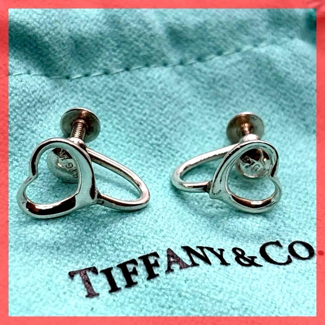 Tiffany Earring Sv925
