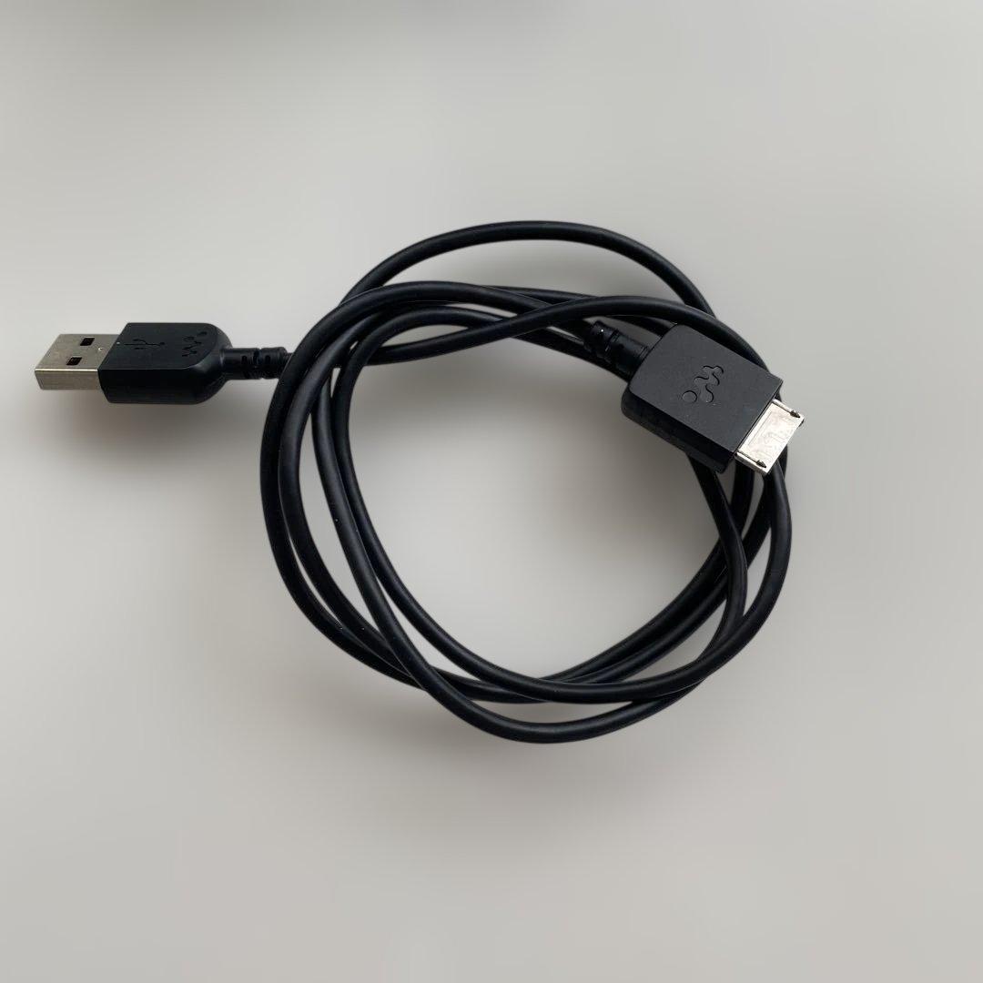 Sony Digital Audio Player