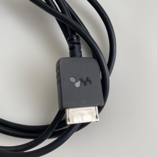 Sony Digital Audio Player