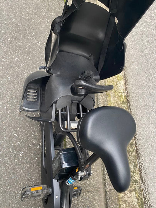 Yamaha Bicycles With Child Seats 2021 Pas Babby