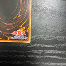 Yu-Gi-Oh! Ocg Duel Monsters (Japanese) 20Th 1