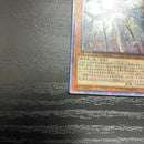 Yu-Gi-Oh! Ocg Duel Monsters (Japanese) 20Th 1