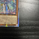 Yu-Gi-Oh! Ocg Duel Monsters (Japanese) 20Th 1