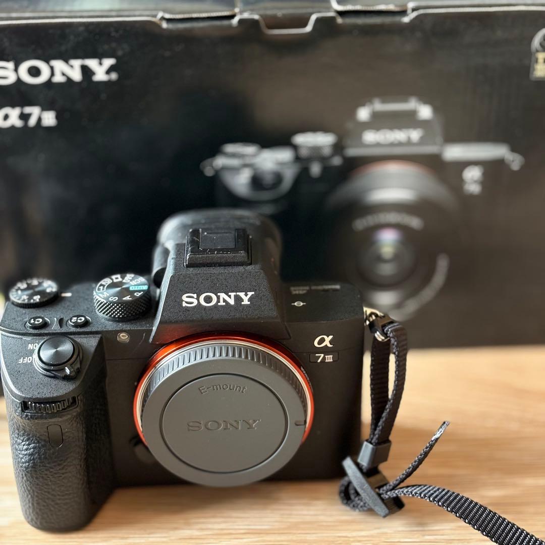 Sony Digital Slr 7 Iii