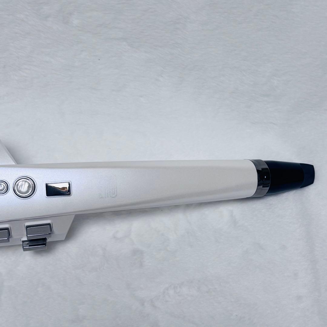 Other Roland Ae-10 Aerophone