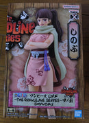 One Piece 9