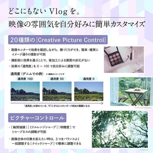 Nikon Mirrorless Interchangeable Lips Z30