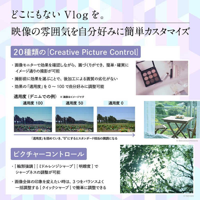 Nikon Mirrorless Interchangeable Lips Z30