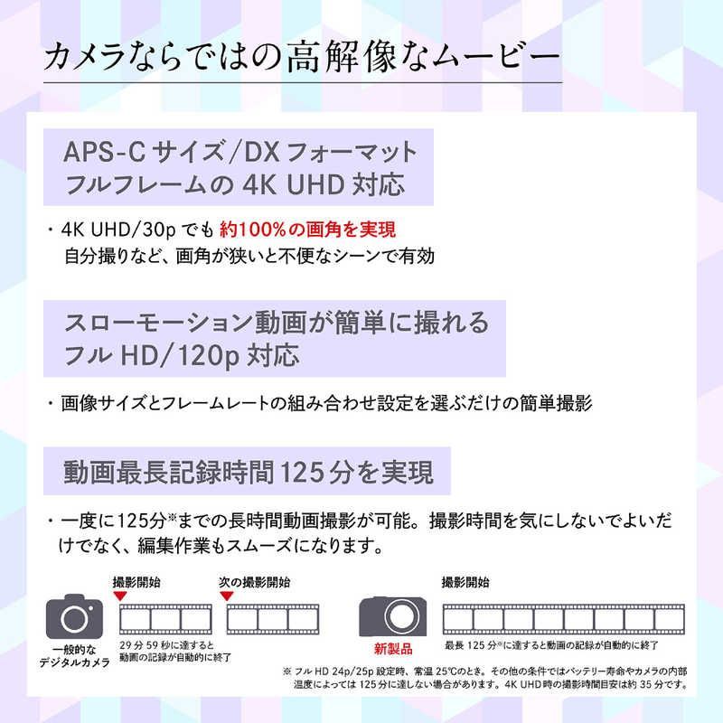Nikon Mirrorless Interchangeable Lips Z30