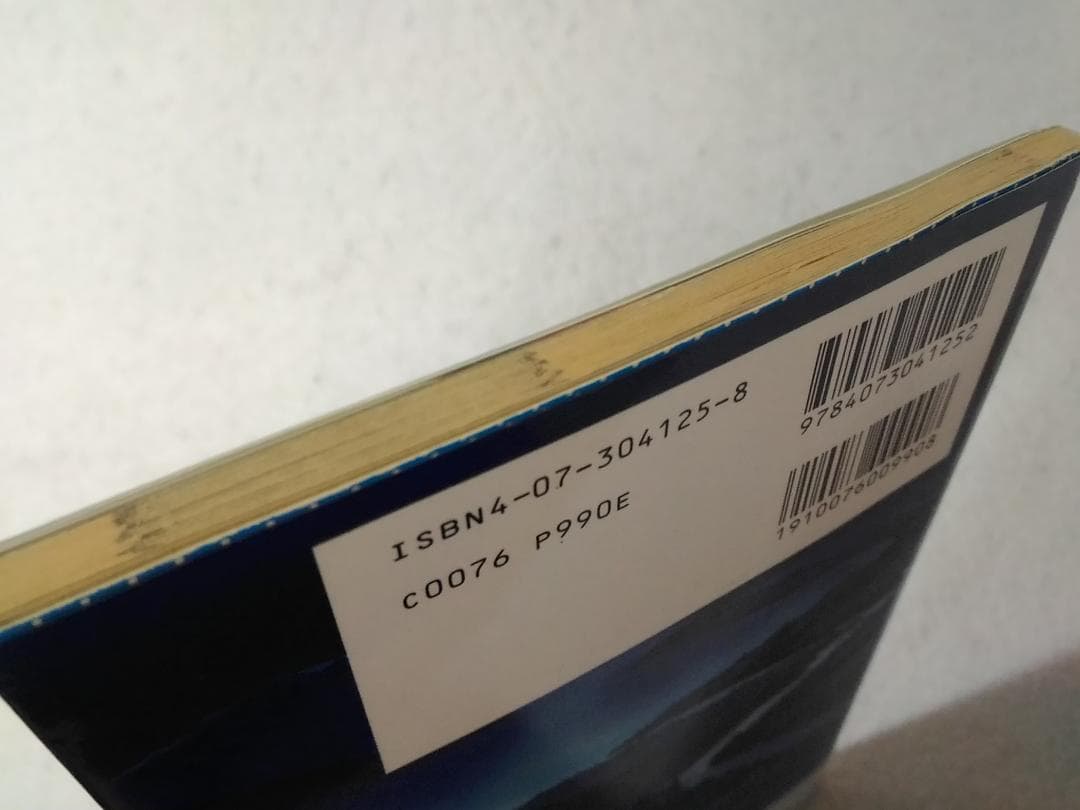 Games Strategy Guides Pc 700