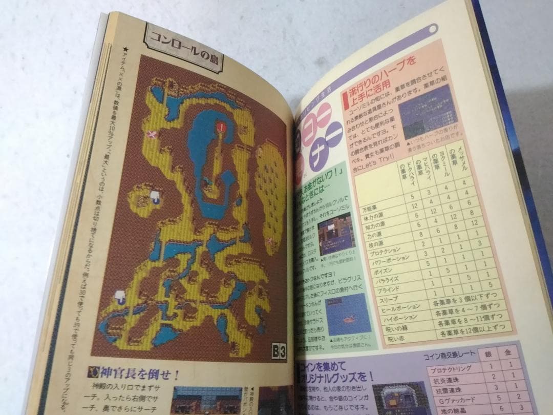 Games Strategy Guides Pc 700
