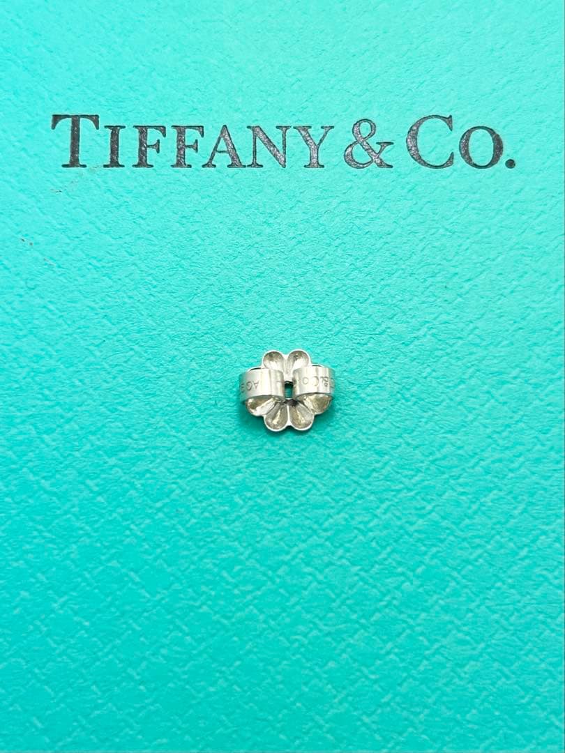 Tiffany Earrings (Single) 1