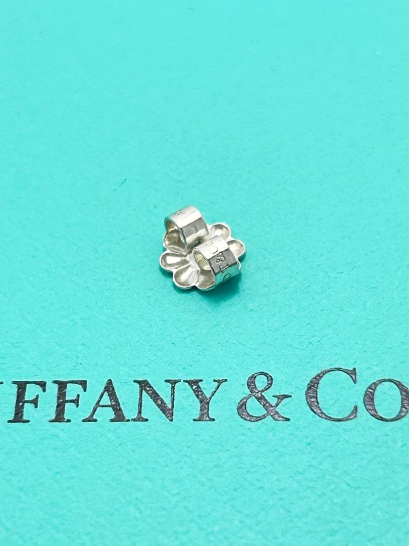 Tiffany Earrings (Single) 1