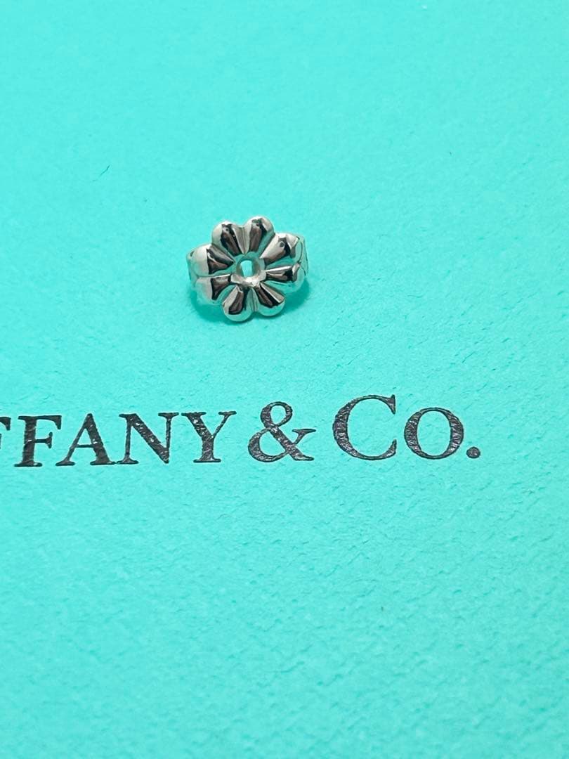 Tiffany Earrings (Single) 1