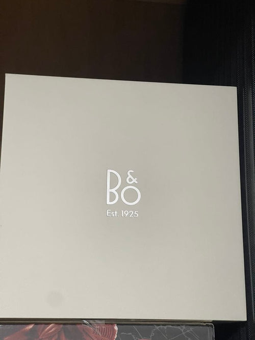 Bang Olufsen Wireless Speaker B&O Beosound A1 3