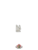 Bang Olufsen Wireless Speaker B&O Beosound A1 3