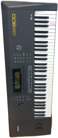Yamaha Others Qs300