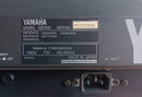 Yamaha Others Qs300